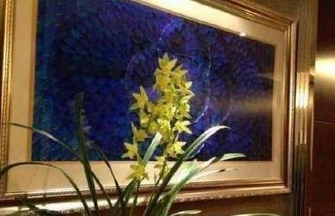 带你参观杨幂的豪宅:家里装修豪华又大气,普通人看完只能羡慕