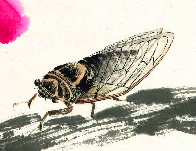 为何齐白石一幅简朴的蝉,价值8亿元?专家:放大二十倍看你会懂