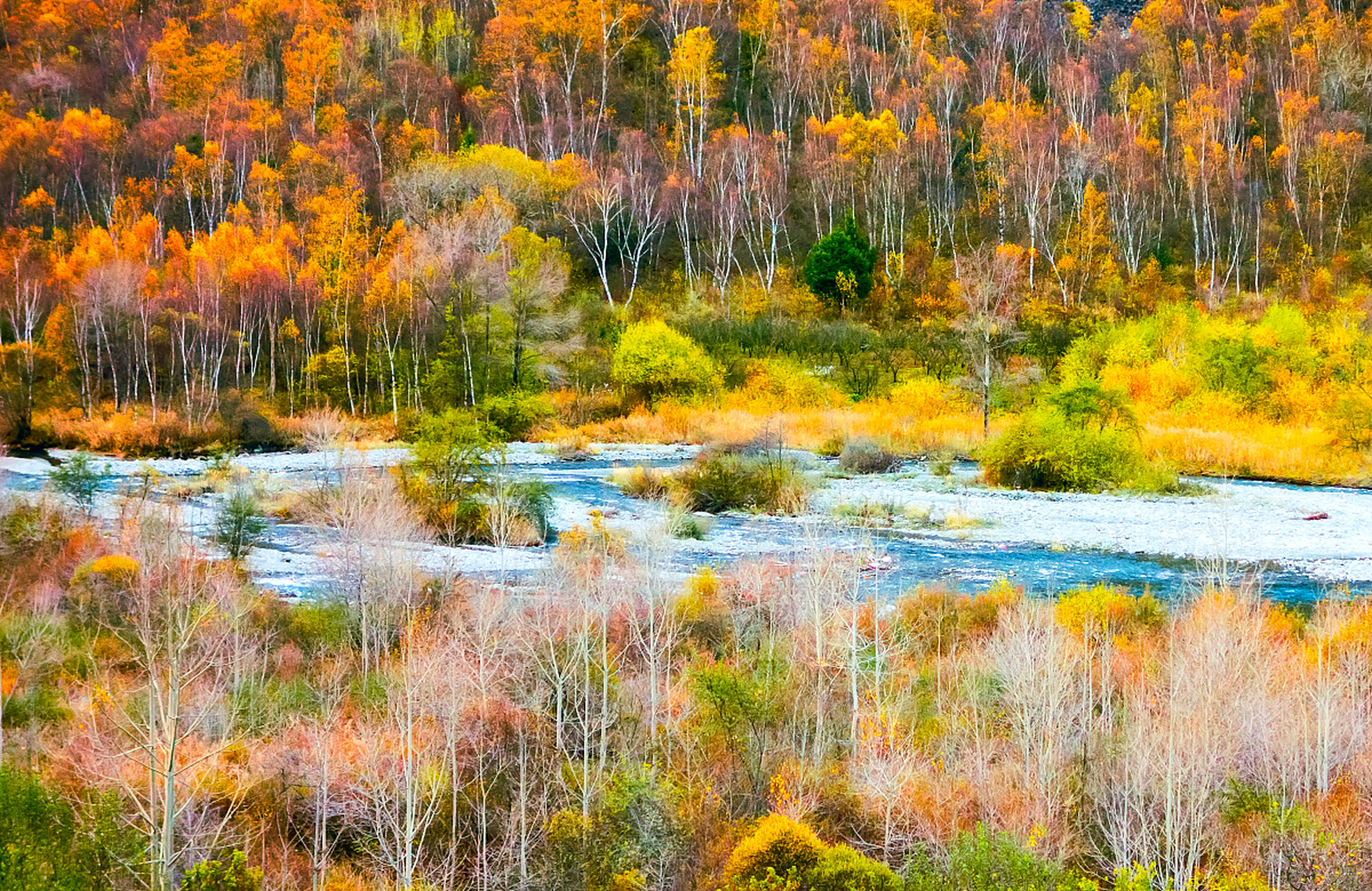 茂县松坪沟森林风景区,在成都市西北240公里,海拔高2200至2900米,属于