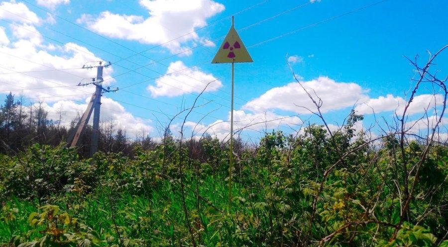 32年后,切尔诺贝利核辐射禁区究竟孕育出了怎样的独特生命?