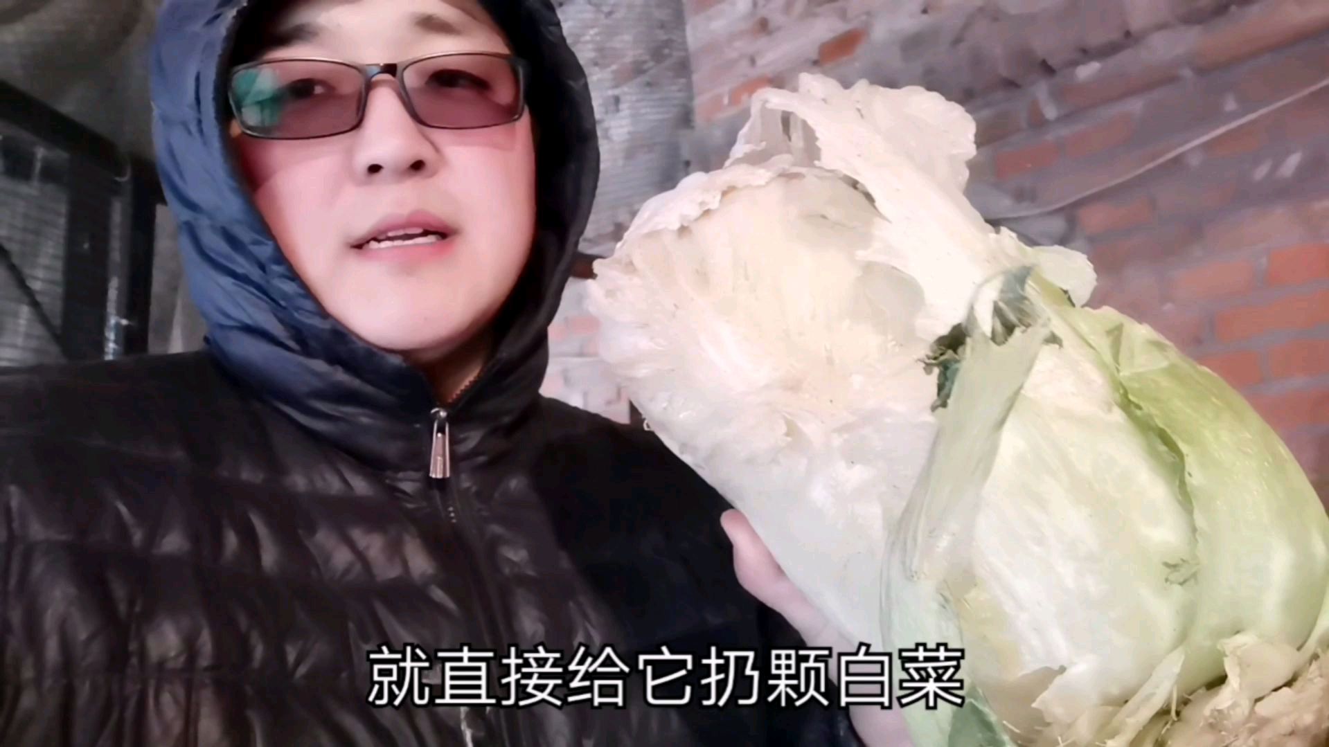 冬天鸡窝里的水全冻冰了,鸡怎么喝水呢