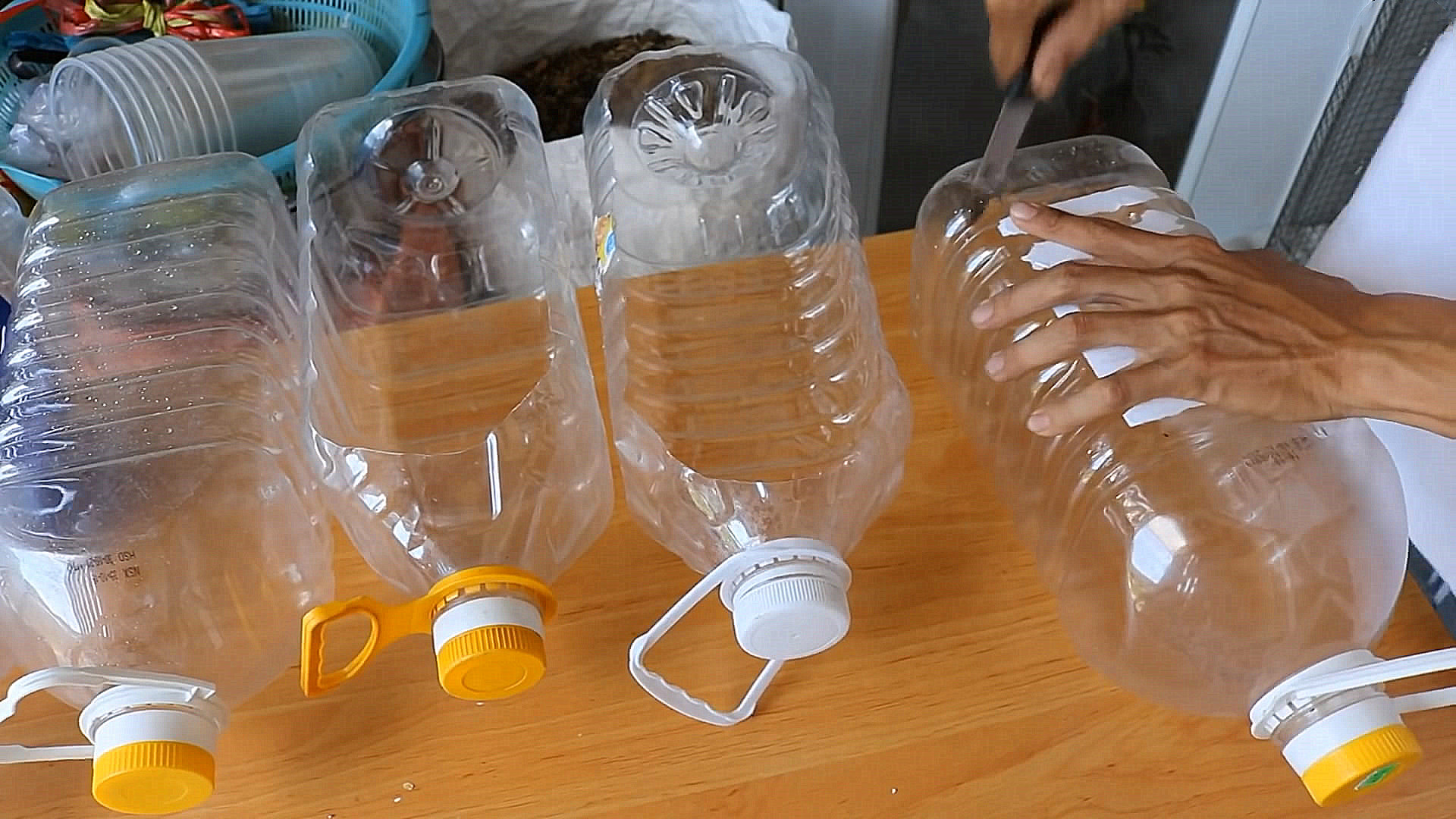 用完的油桶不要扔,攒上10多个,做个"微型"菜园,不用出门买菜