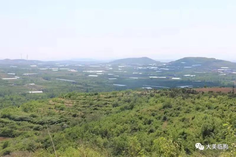 走进临朐县山旺镇尧山村