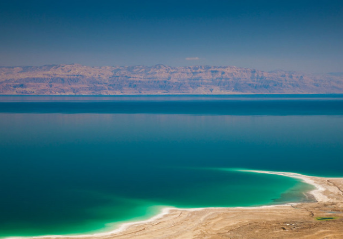死海湖中及湖岸均富含盐份,在这样的水中,鱼儿和其他水生物都难以生存