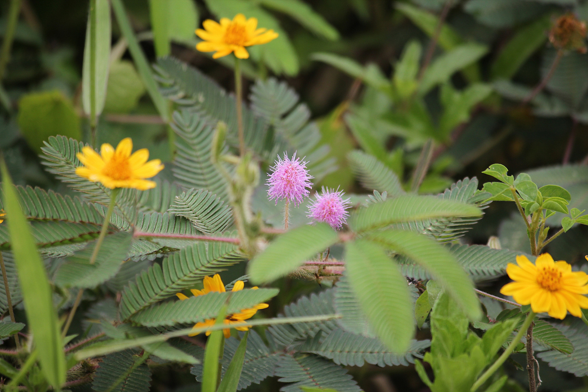 一个人如果不能自力更生,那将是可怜的!