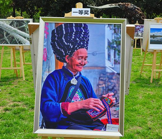 我区廉政家风摄影结果公布了!