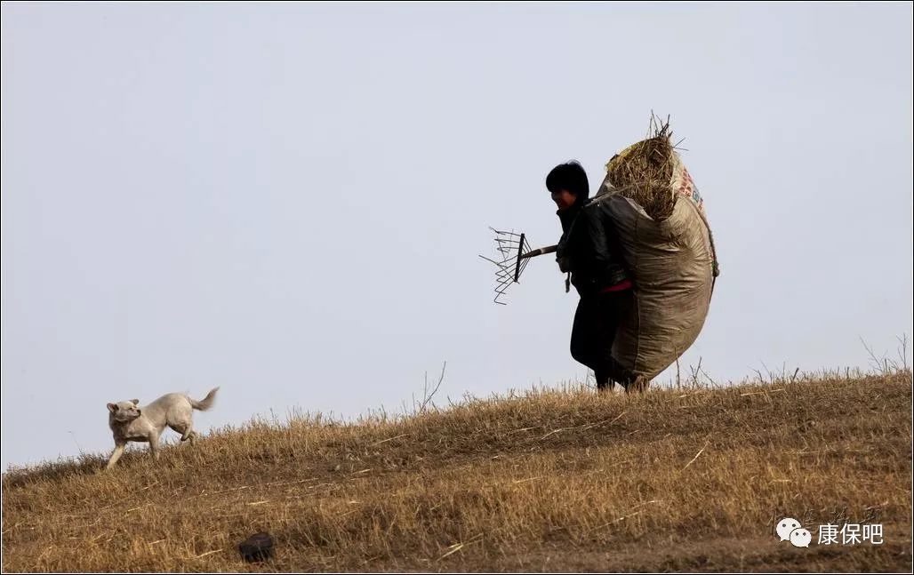 「乡土」准格尔旗人快看看!小时候你受过这些"苦"吗?