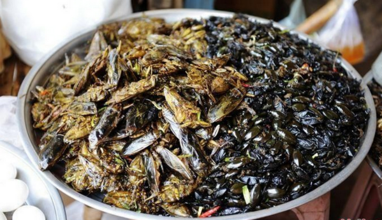 让广西人又爱又恨的怪异美食,外地人一脸懵逼