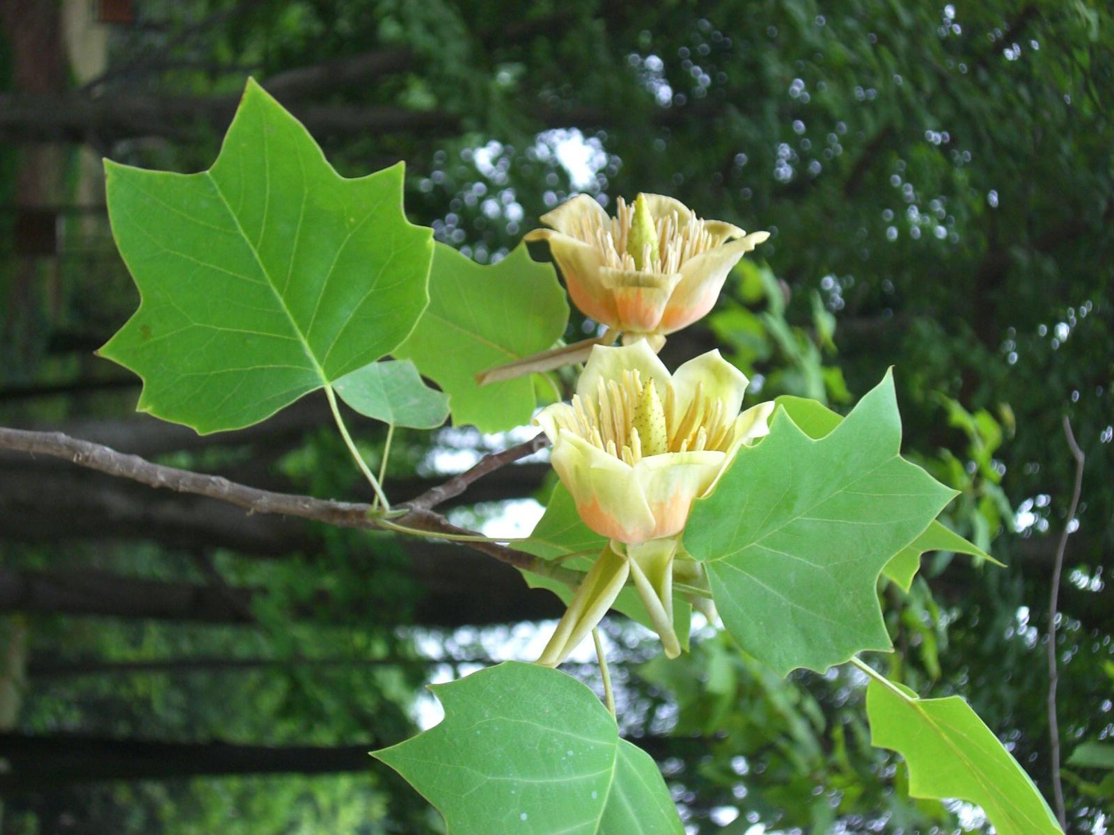 马褂- 热门商品专区