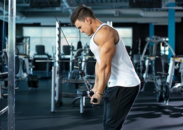 《健体》巨臂训练一例