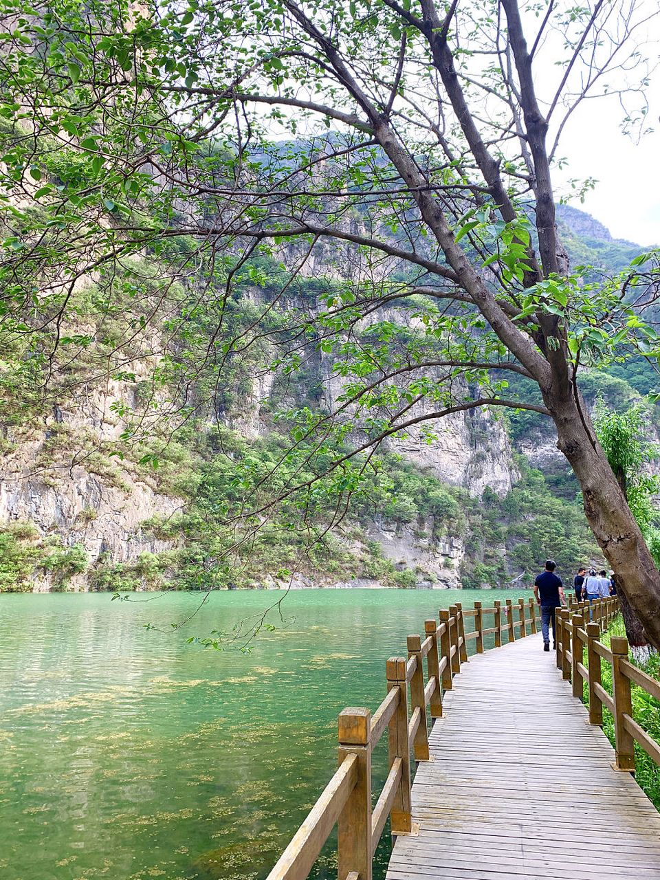 攀枝花二滩风景区图片图片