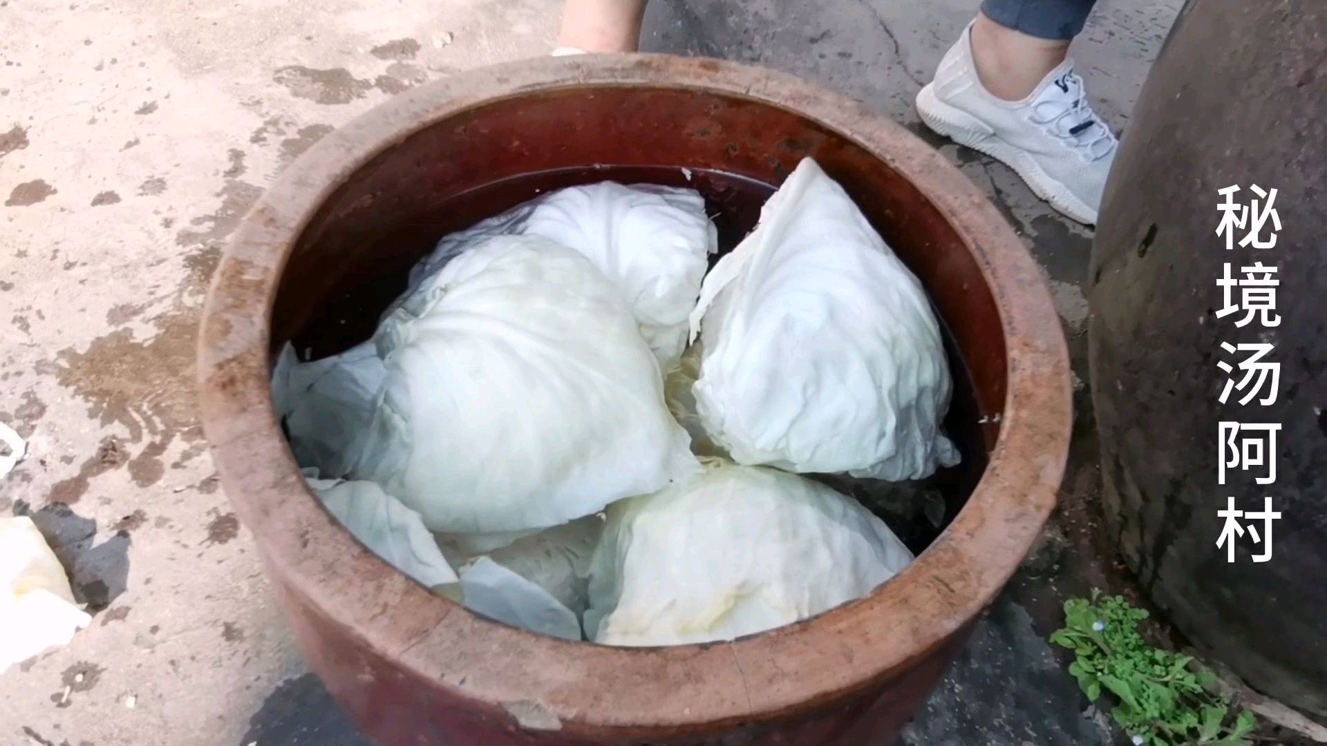 酸包菜好吃又下饭 原来只需一个步骤就行了 做法超级简单 学到了