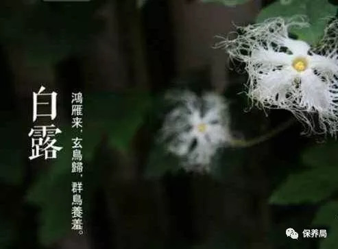 最全白露养生指南来啦!