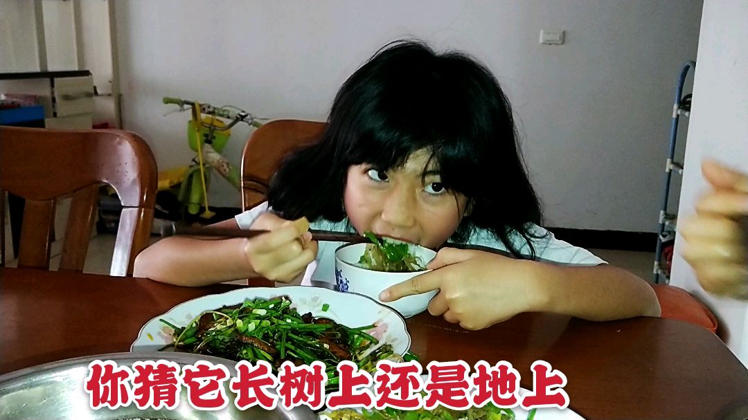 只有贵州人认识的蔬菜,吃起来像树干,看看你认识吗