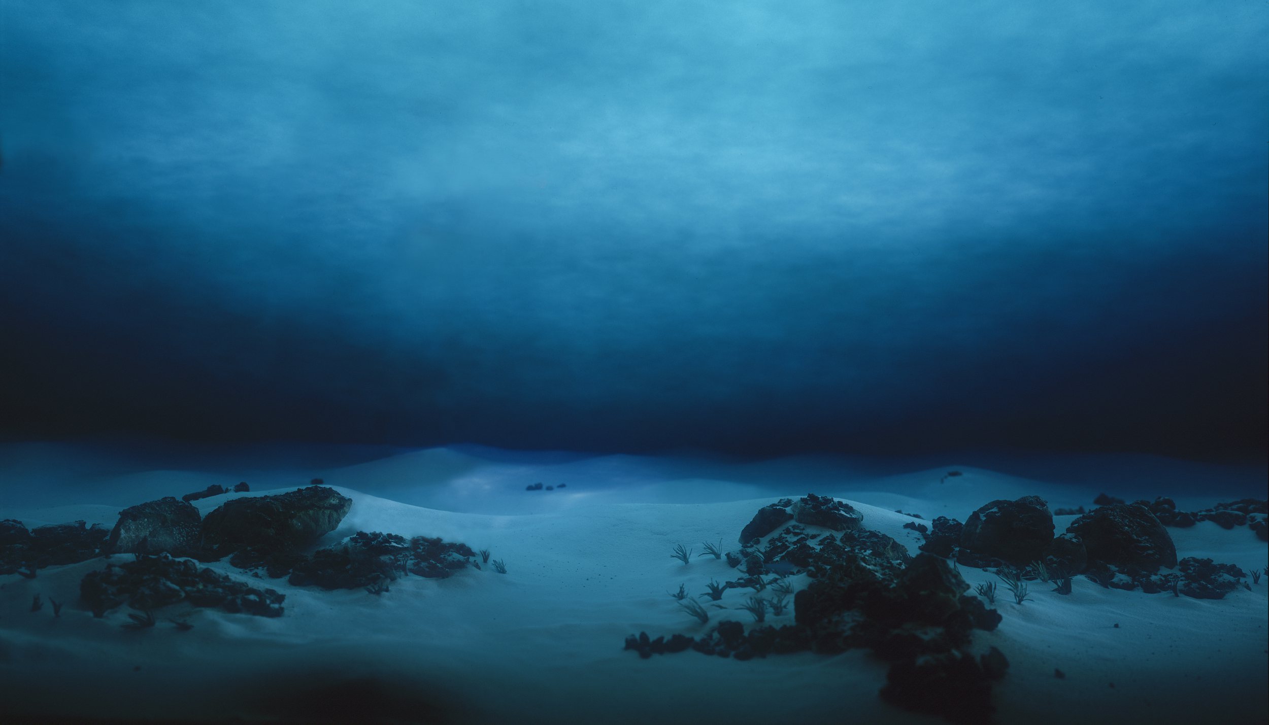 美国探险家打破马里亚纳海沟深潜纪录:除了新物种,还发现了糖纸和塑料