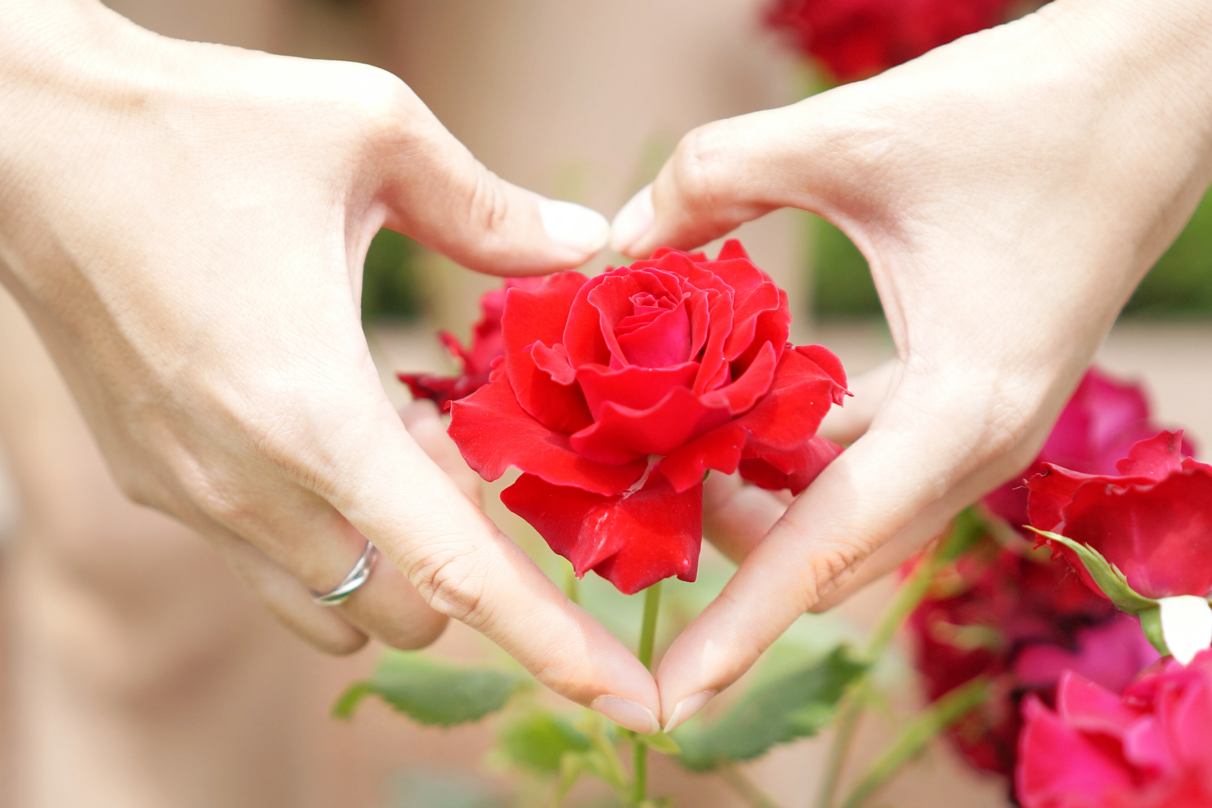 母亲节(mothers day),是一个感谢母亲的节日,是