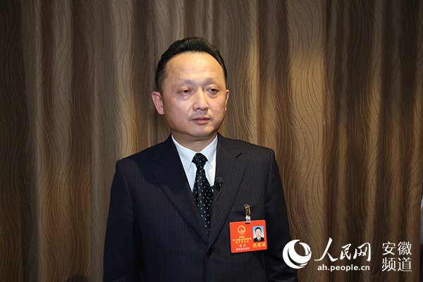 安徽省人大代表邹军:三次产业并举 发展县域经济