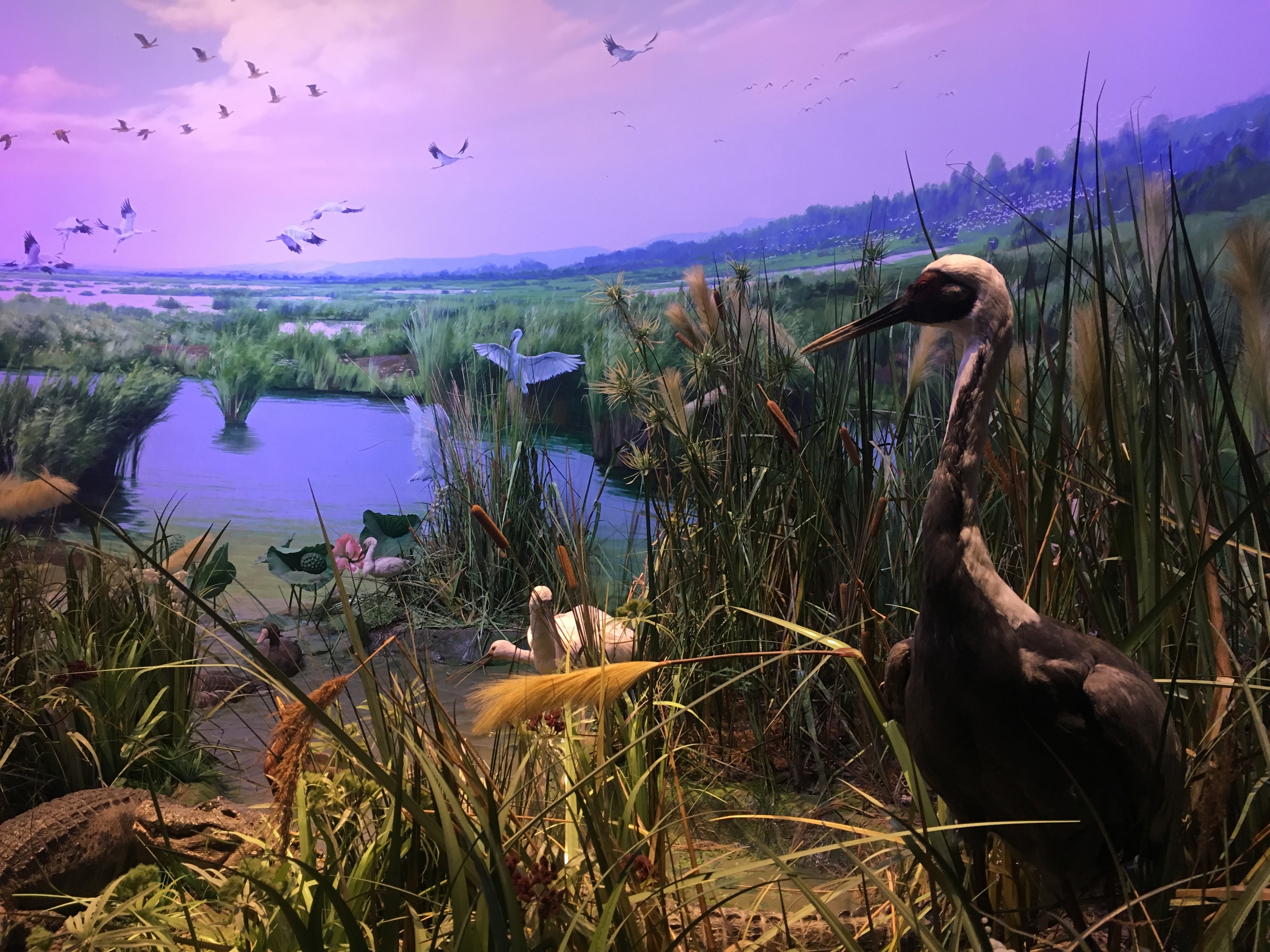 贝林大河生命馆贝林大河生命馆位于长江文明馆北边,建筑面积2.