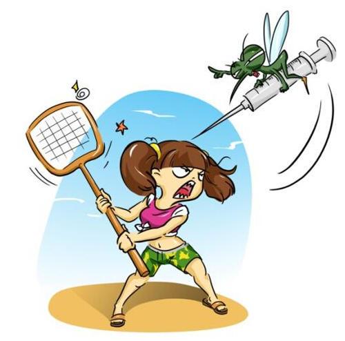 捉蚊大战,一个小女生和一只蚊子的交锋