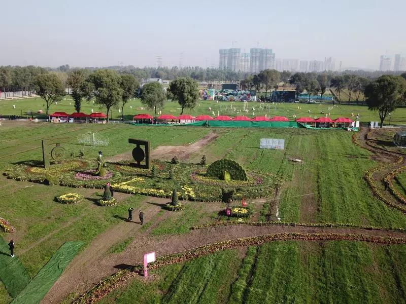 晋源区花卉小镇盛装启幕!现场实拍,美爆了!(图)