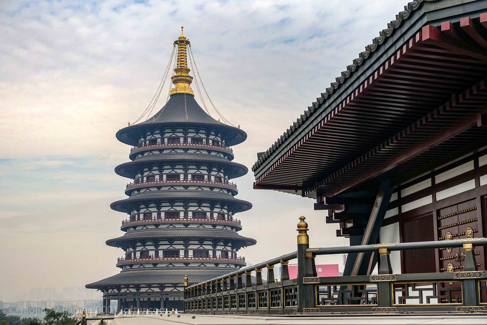 "千年帝都,牡丹花城"的洛阳,前往洛阳有历史赏牡丹