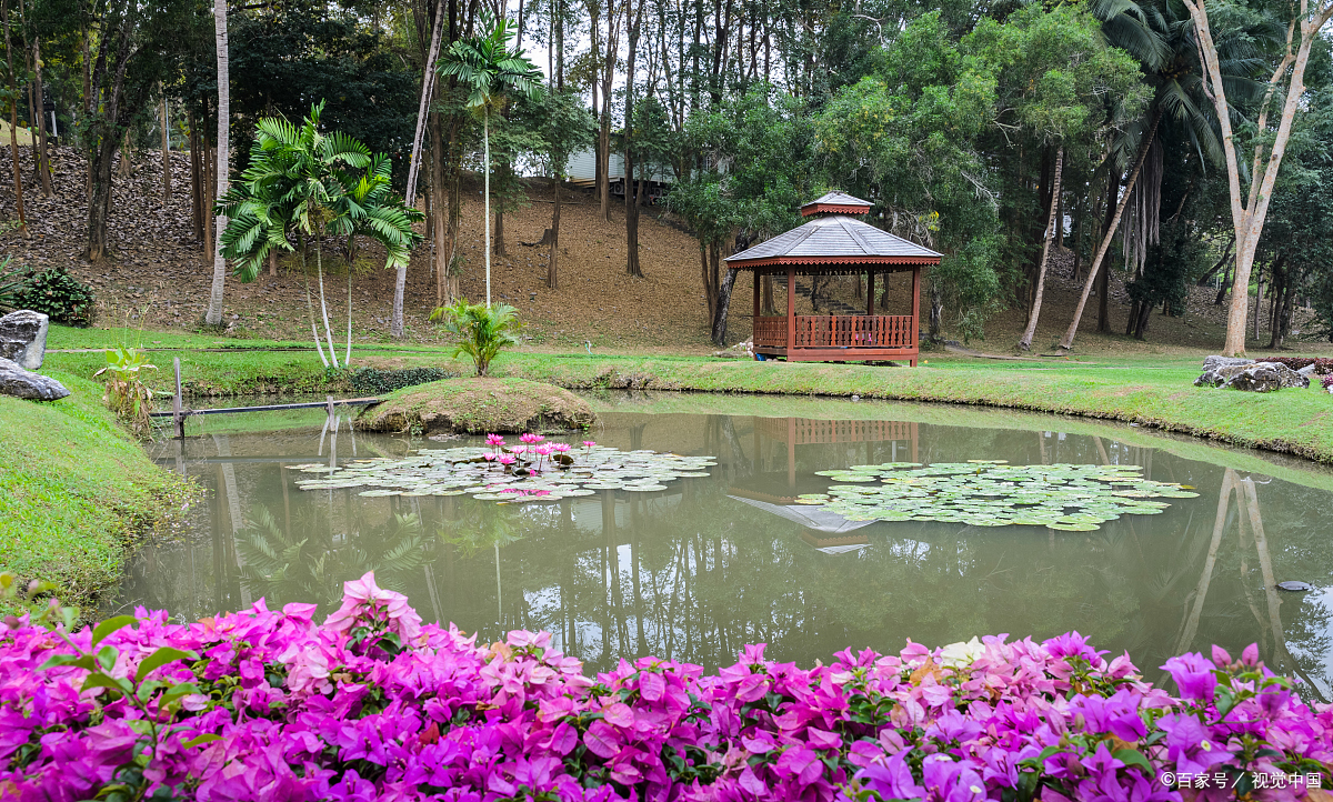 广州旅游哪里好?广州华南植物园.