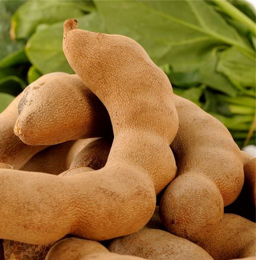 甜角,又名罗望子,木罕(傣语),为酸豆属(tamarindus linn)植物,其成熟