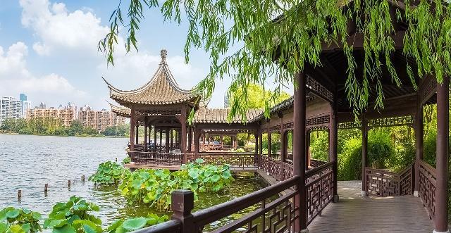 寂静王冠:都是家族的培养