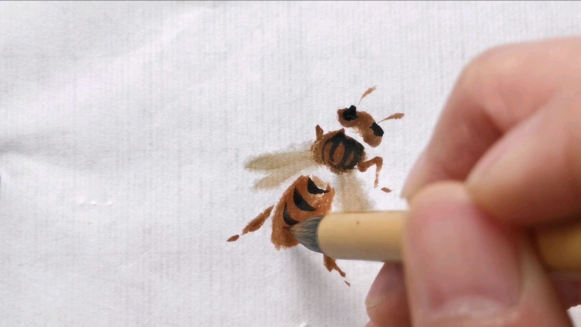 蜜蜂画法,它与大黄蜂有什么不同