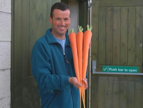 世界上最长的胡萝卜,长度为5.84米,看完长见识了