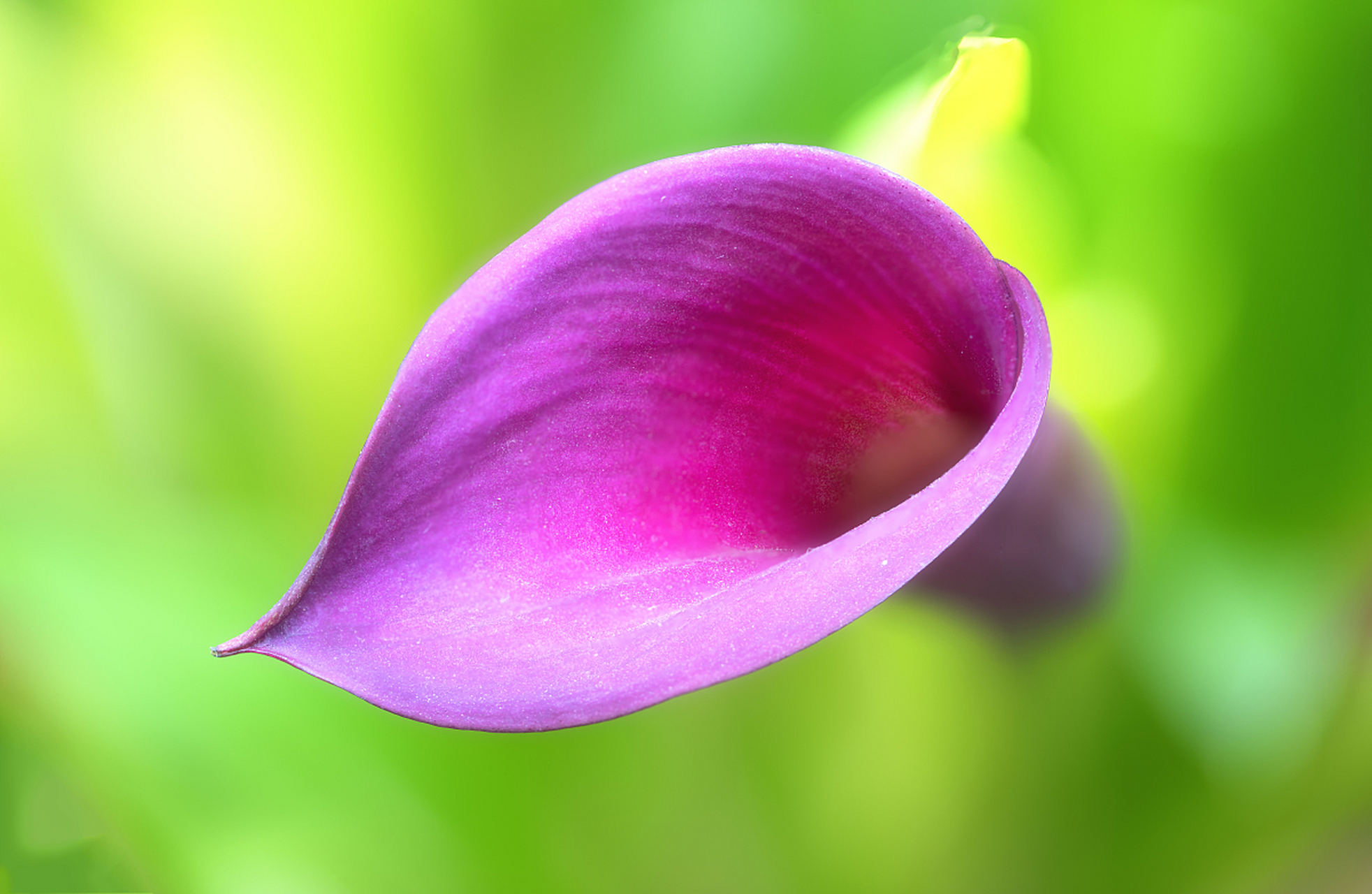 有时,心灵需要的只是清净