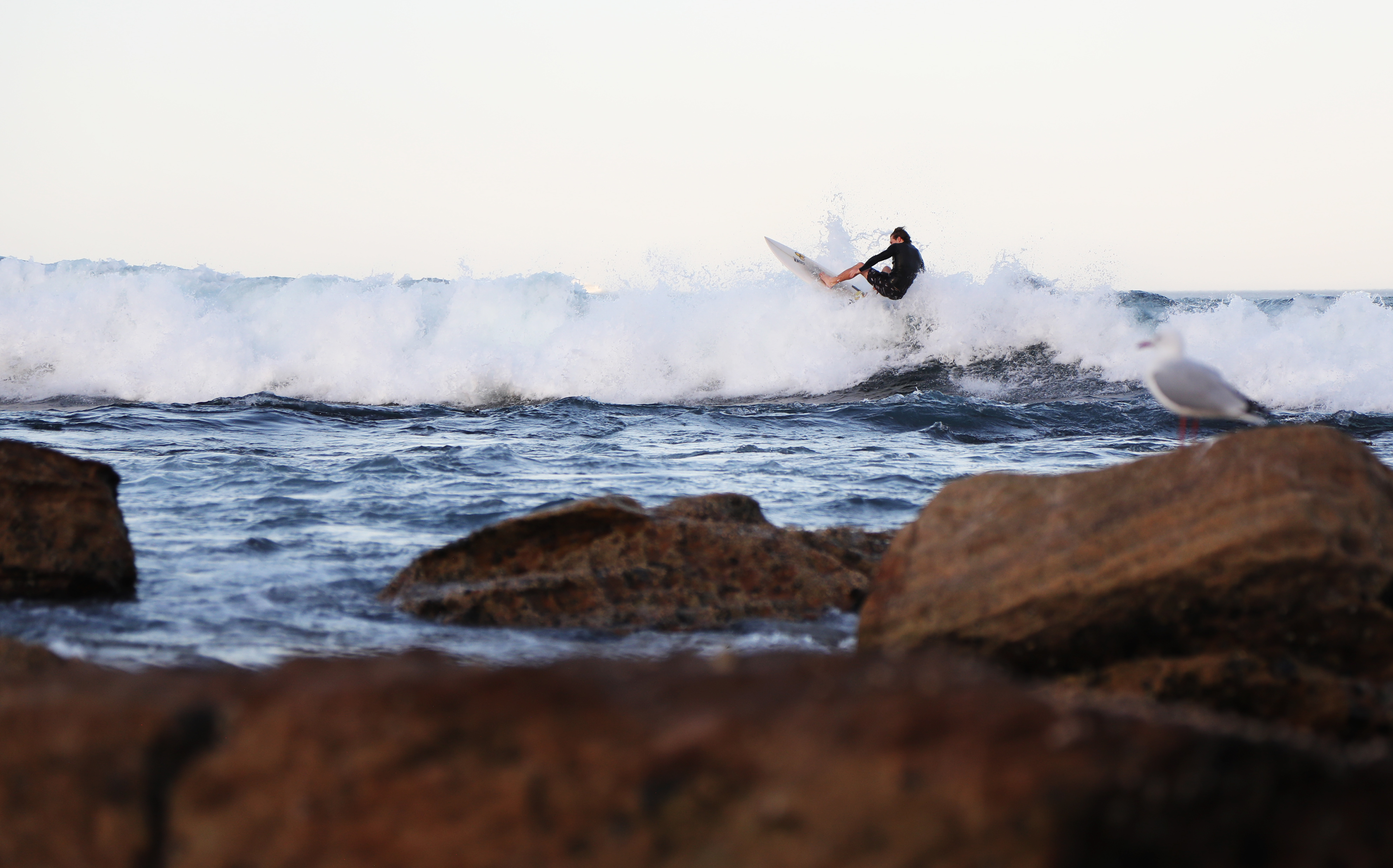 "秋老虎"袭来  悉尼又成冲浪天堂(1)