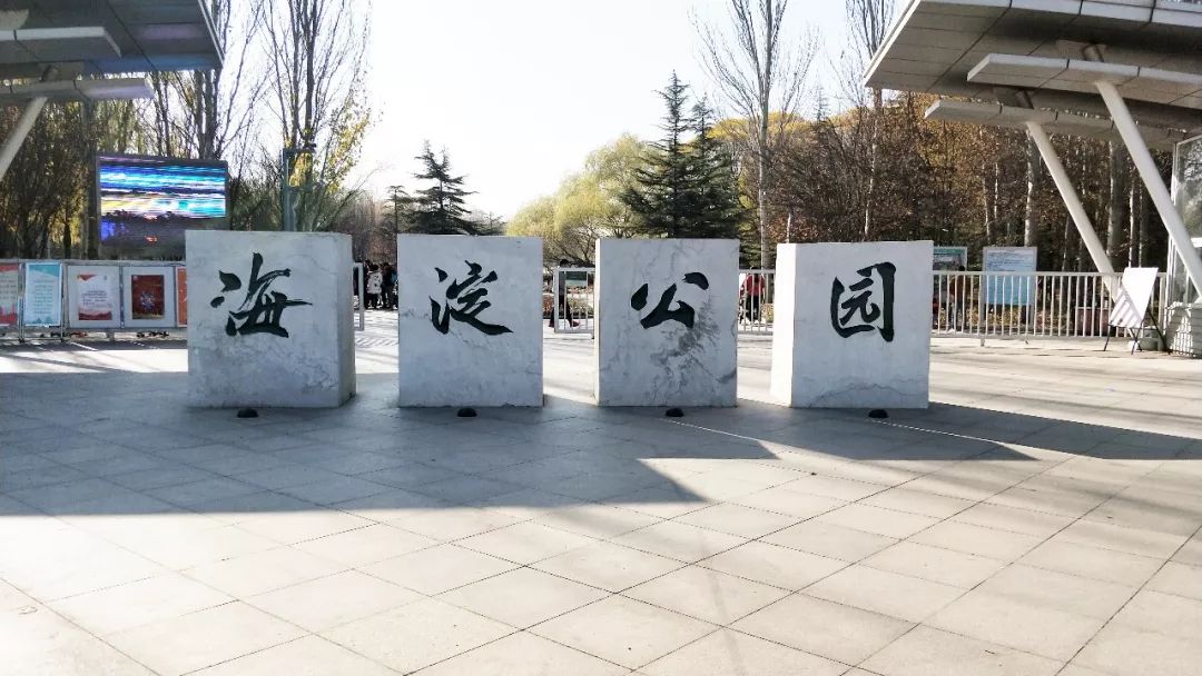 北京海淀公园(AI公园)图片