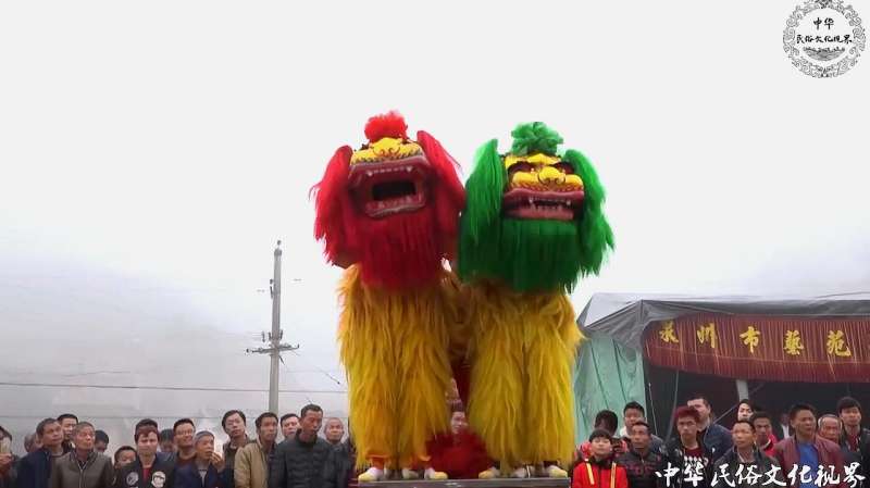 传统文化北狮表演，动作神态都和南狮不同，已有一千六百多年历史,文化历史,民俗,好看视频