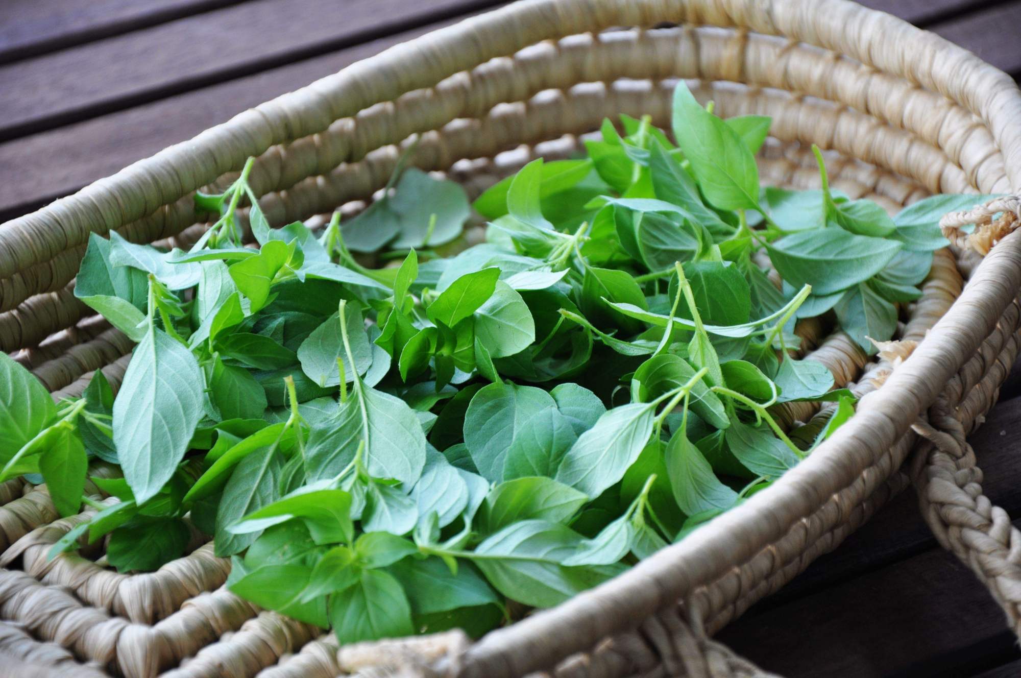 西餐常见的10种香草,没有八角茴香,没有花椒大料