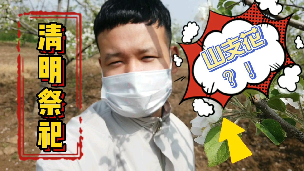 我想挑战山支花姐妹团,等我清明祭祀回去,立马开整!
