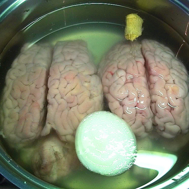 凉拌羊脑做法,味道鲜美,滑嫩又不腥膻