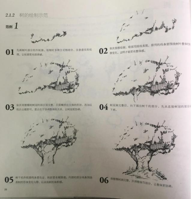 鋼筆畫教學-如何畫樹木