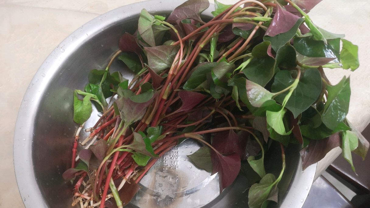 大厨分享“折耳根”新做法,酸辣爽口,开胃下饭,一大盘都不够吃