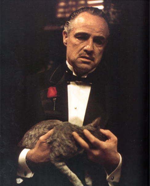 教父马里奥普佐创造不一样的时代价值,时间越久韵味越浓