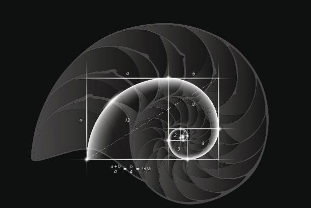 神秘的黄金比例在股市中的应用,教你正确的使用方法