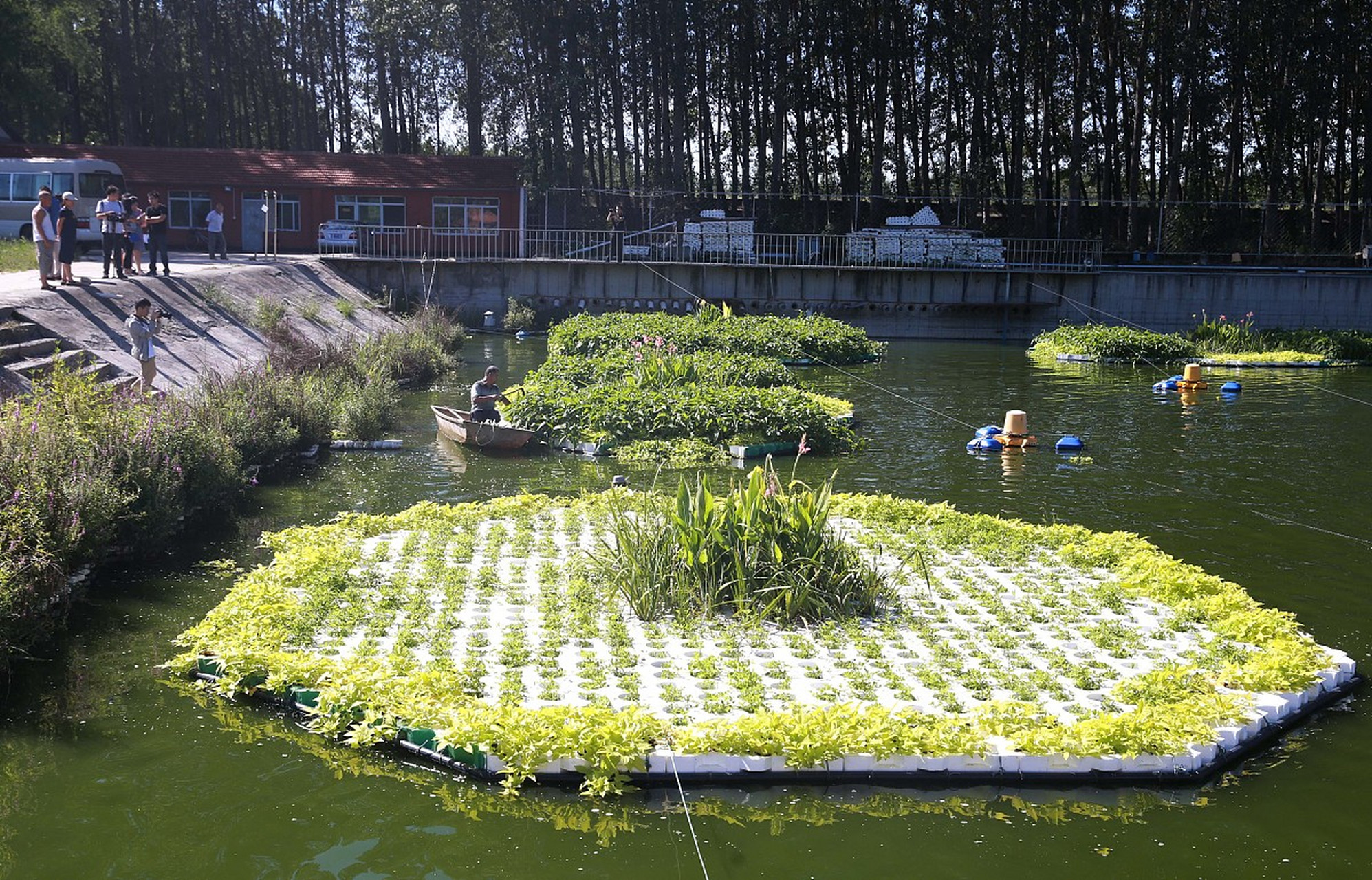 人工湿地的分类: 1,表面流人工湿地,英文为:surface flow wetland; 2