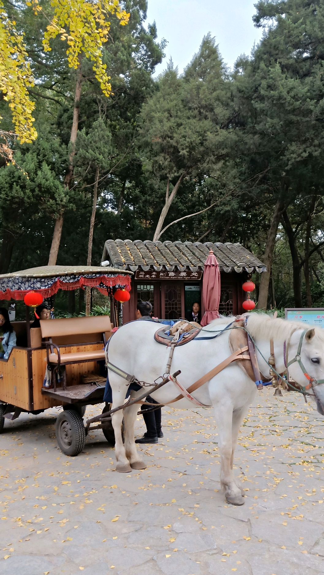 又名"千人坐",在上山路的尽头,是虎丘的主景区.