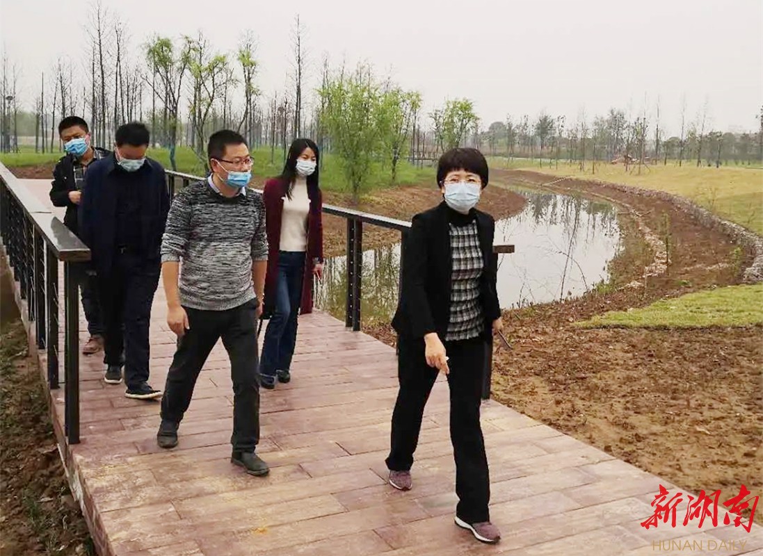 蒋颖群调度柳林公园建设工作