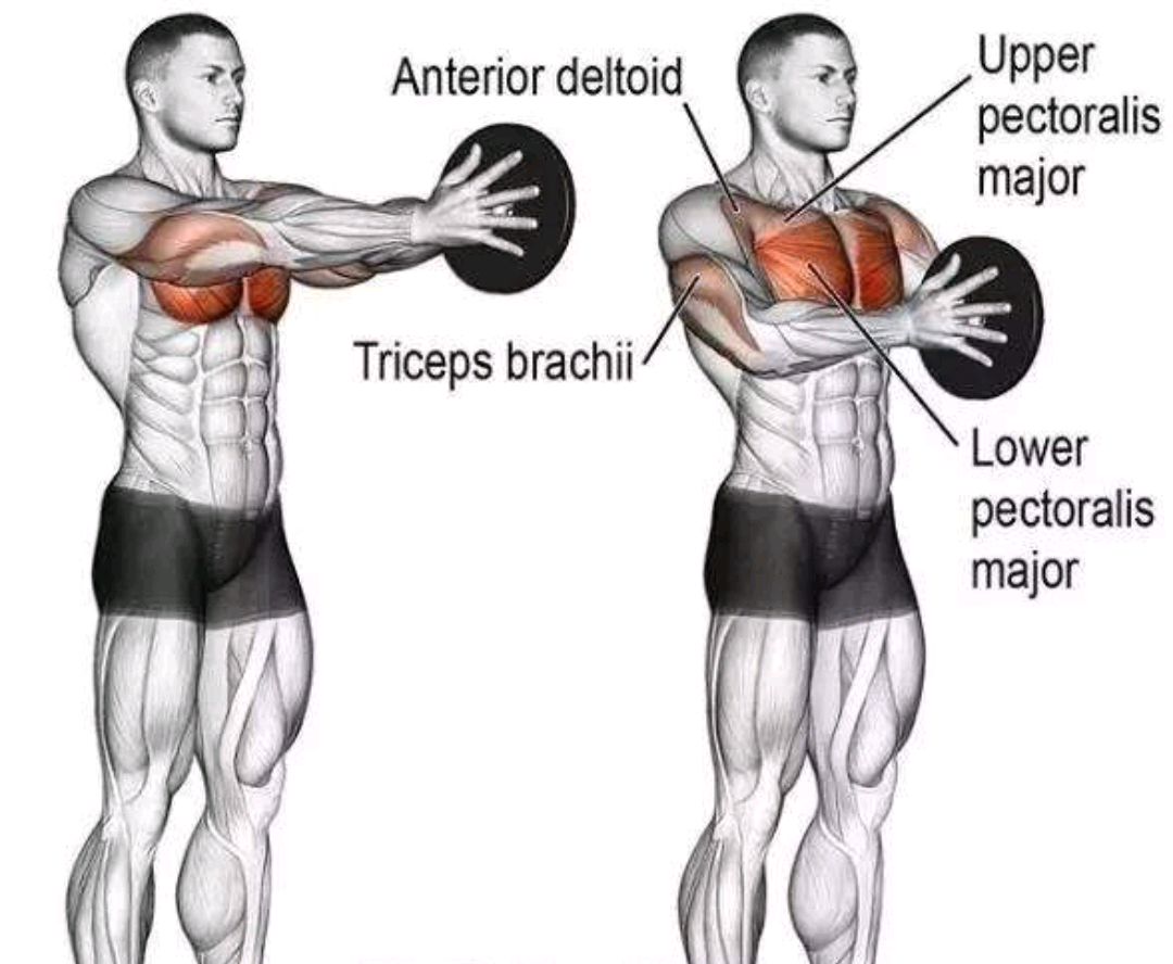 胸肌不光要大,学会这4个动作,让你练出饱满立体的胸大肌
