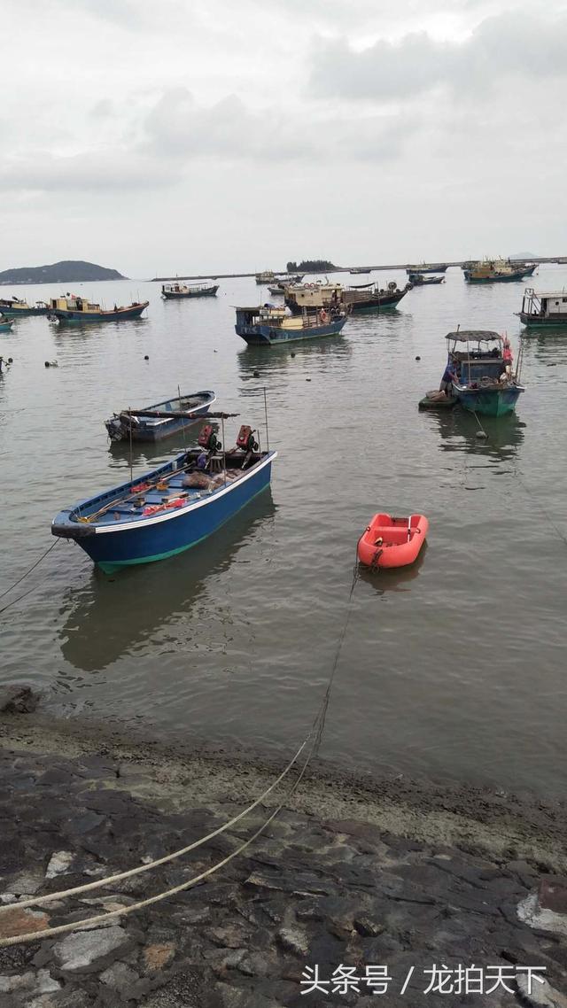 陽江東平鎮魚碼頭