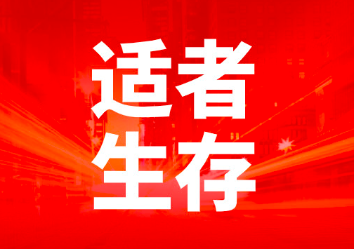 「适者生存」冰火两重天,慧财税呼吁企业要有灵活性