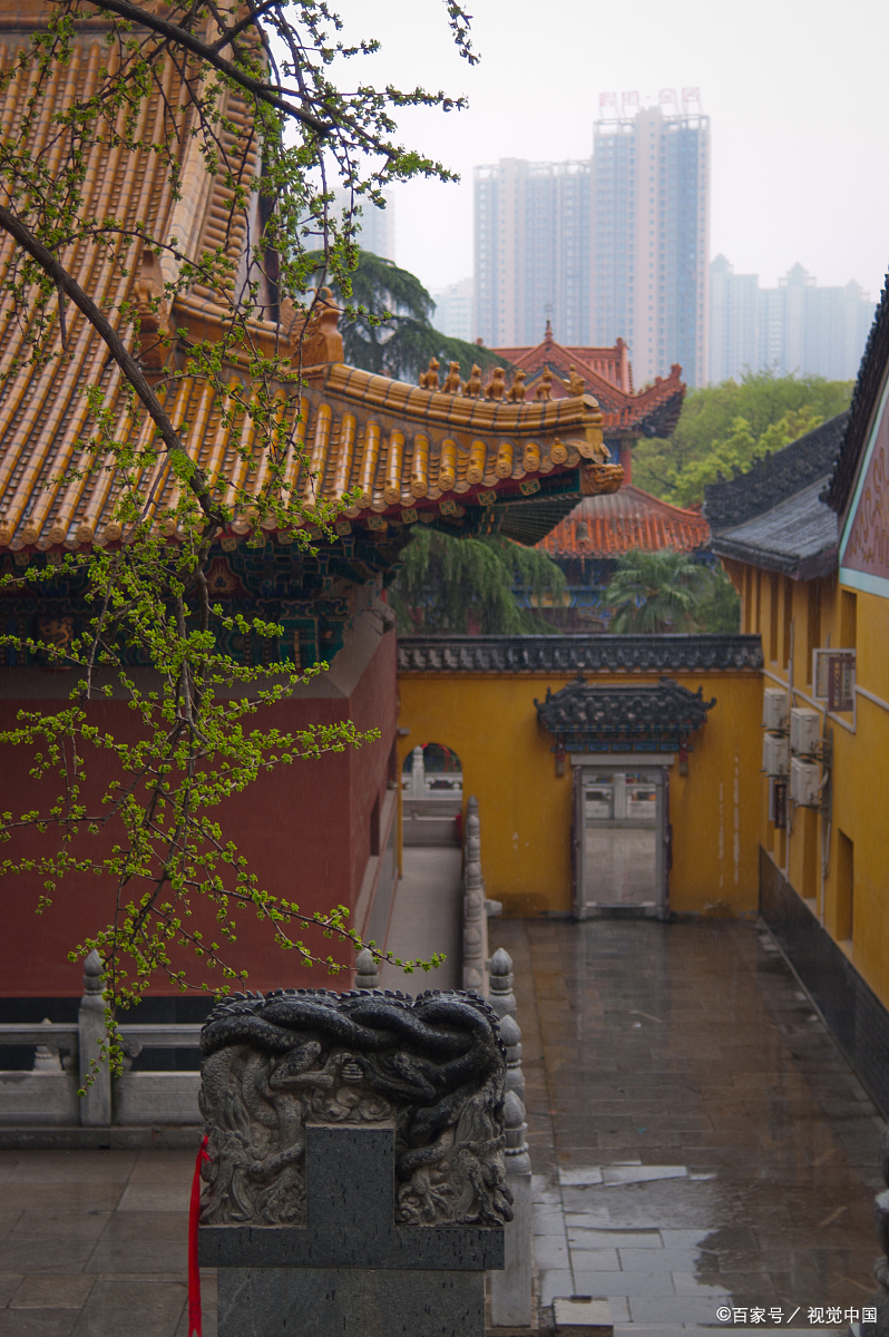 终于来到传说中的武汉龙华寺!  龙华寺可不是一般的寺庙哦!