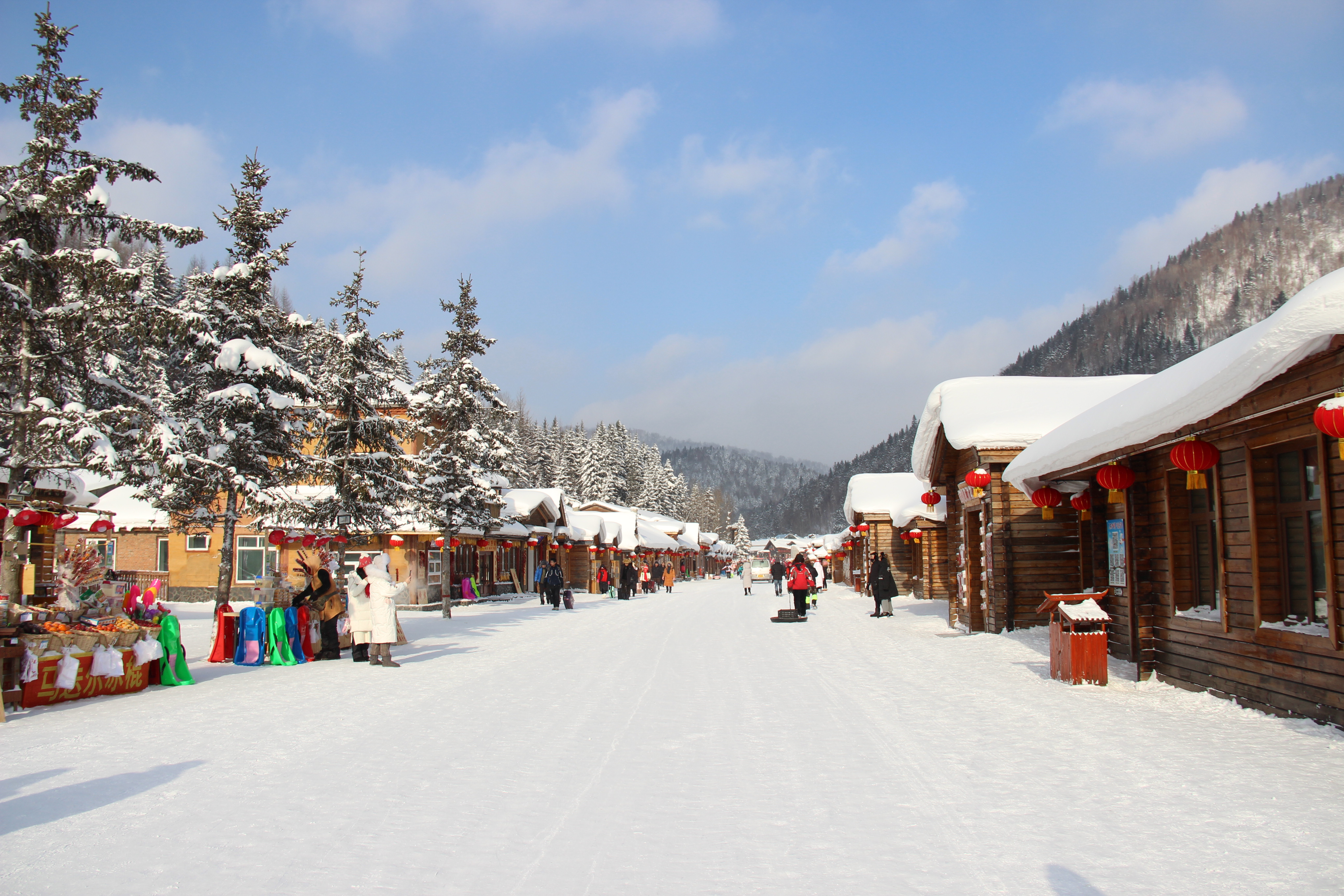 在最好的月份,去哈尔滨过冬,去雪乡看雪