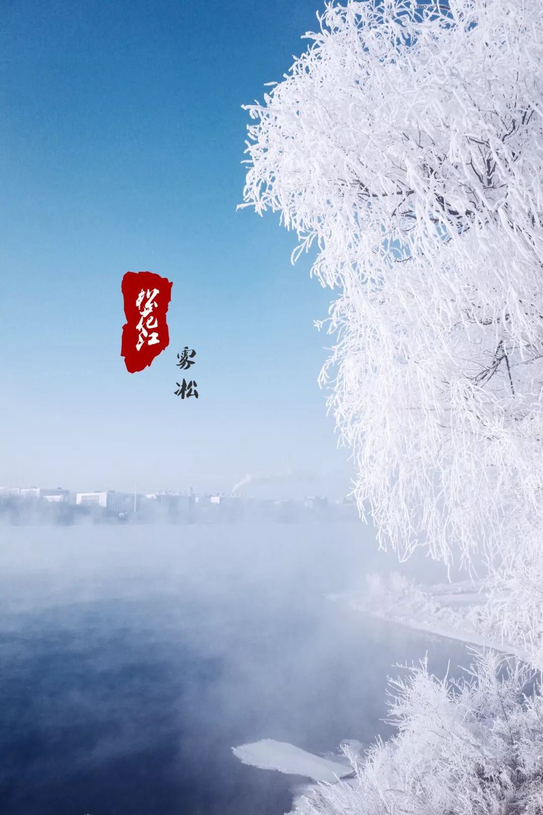 摄影丨大美吉林,松花江畔雾凇留存